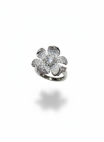 Orion’s Whisper - Image 2